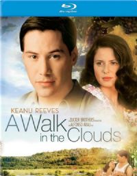 �氮�ķ�ɡ�Ӱ�ӽ�˵��