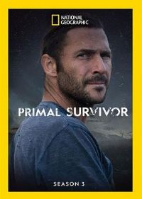 ԭʼ�����ǵ�����