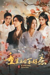 ������ĸ������&��������