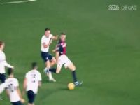 ������� ��������VSά���� 20250504